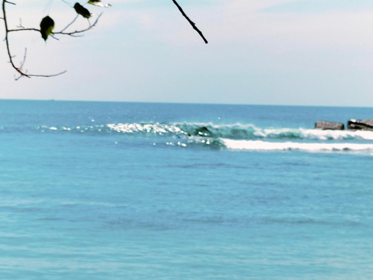 Secret Swell Hotell Tangalle Exteriör bild